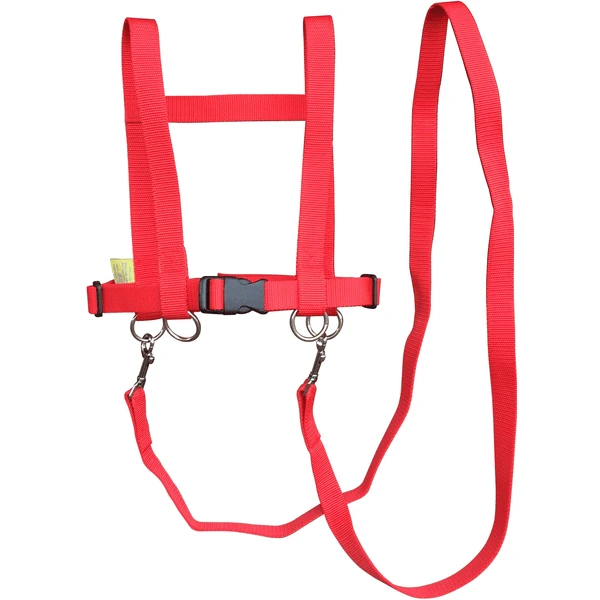 Helga Kreft Zügelmatz Pferdespielleine, Rot